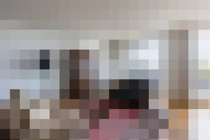 Zuiderpoort 10 A Echt thumbnail 21