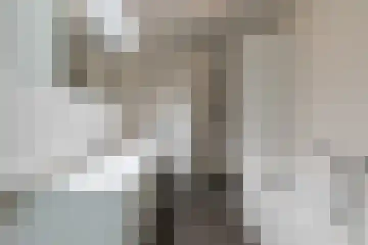 Zuiderpoort 10 A Echt thumbnail 31