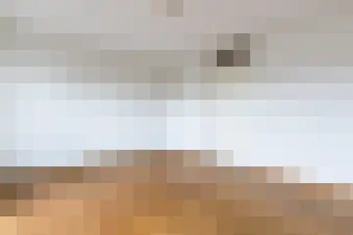 Zuiderpoort 10 A Echt thumbnail 38