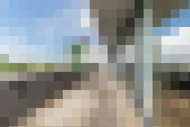 Zuiderpoort 10 A Echt thumbnail 43