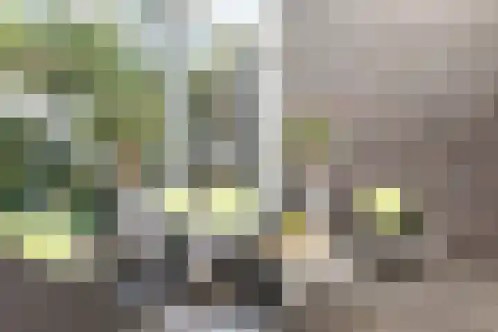 Zuiderpoort 10 A Echt thumbnail 6