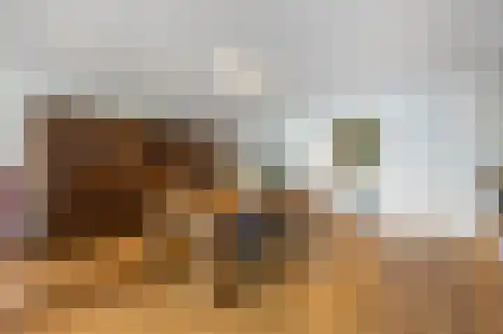 Zuiderpoort 32 Echt thumbnail 13