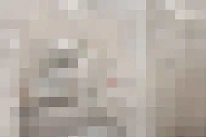 Zuiderpoort 32 Echt thumbnail 29