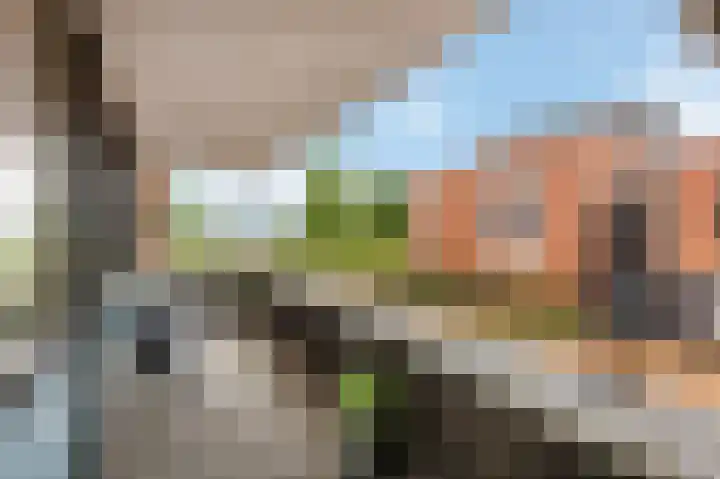 Zuiderpoort 32 Echt thumbnail 4