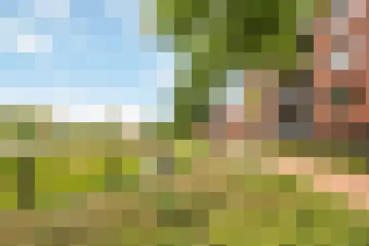 Zuiderpoort 32 Echt thumbnail 6