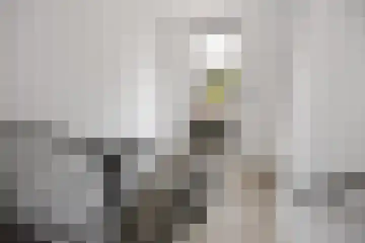 Zuiderpoort 36 Assen thumbnail 16
