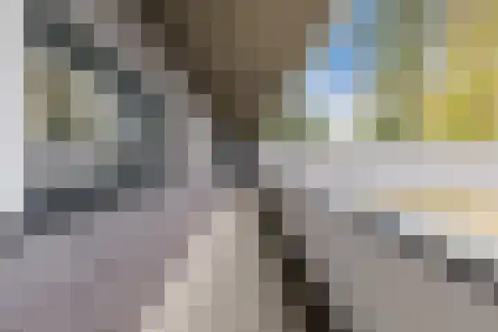 Zuiderpoort 6 Echt thumbnail 10