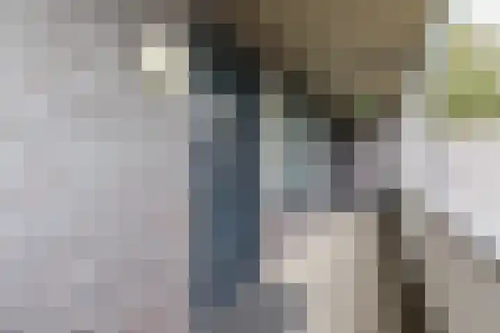 Zuiderpoort 6 Echt thumbnail 11