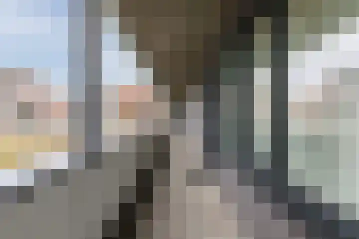 Zuiderpoort 6 Echt thumbnail 12