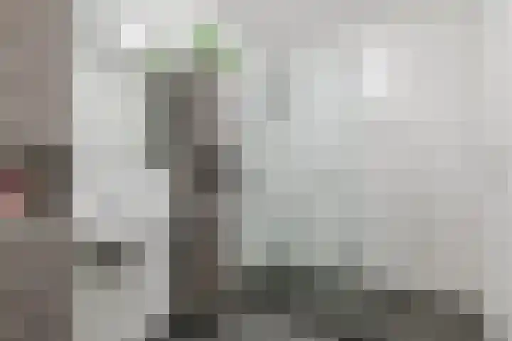 Zuiderpoort 6 Echt thumbnail 32