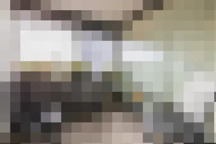 Zuiderpoort 6 Echt thumbnail 39