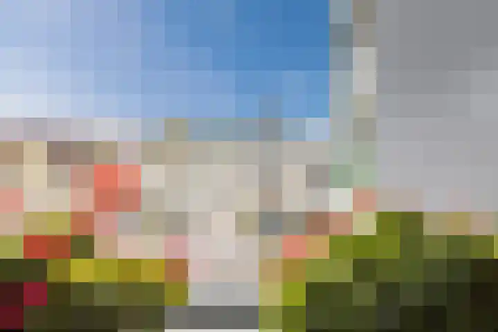 Zuiderpoort 6 Echt thumbnail 41