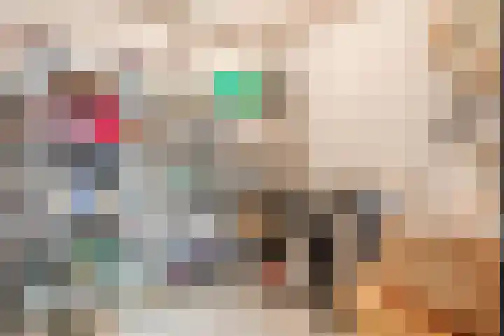 Zuiderpoort 6 Echt thumbnail 43
