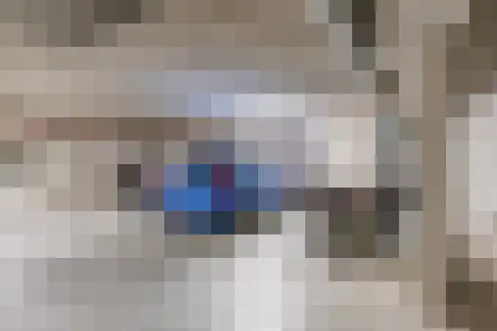 Zuiderpoort 6 Echt thumbnail 45