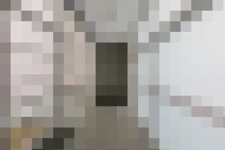 Zuiderpoort 6 Echt thumbnail 8