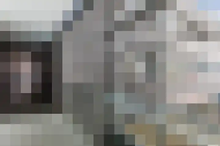 Zuiderpoort 6 Echt thumbnail 9