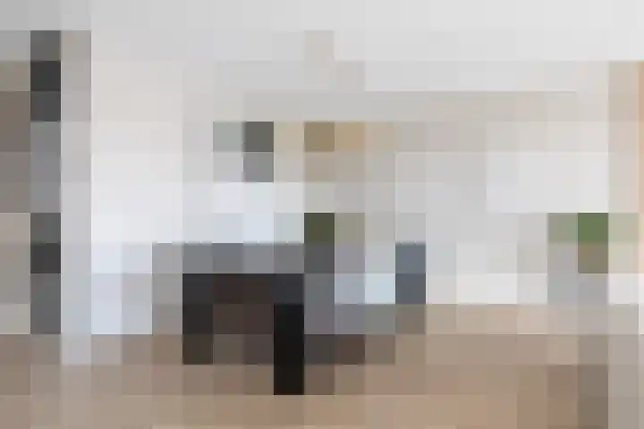 Zuiderrak 59 Sneek thumbnail 13