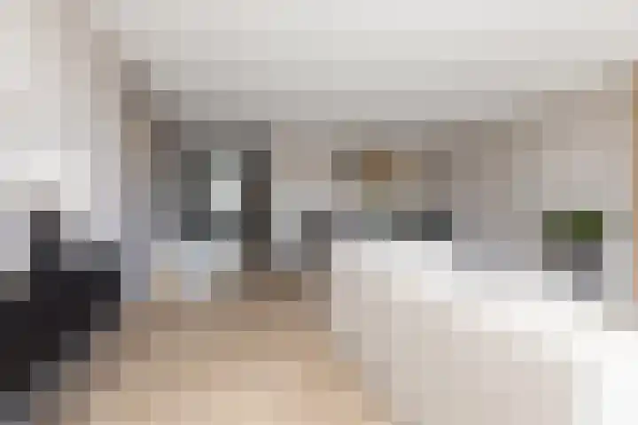 Zuiderrak 59 Sneek thumbnail 16