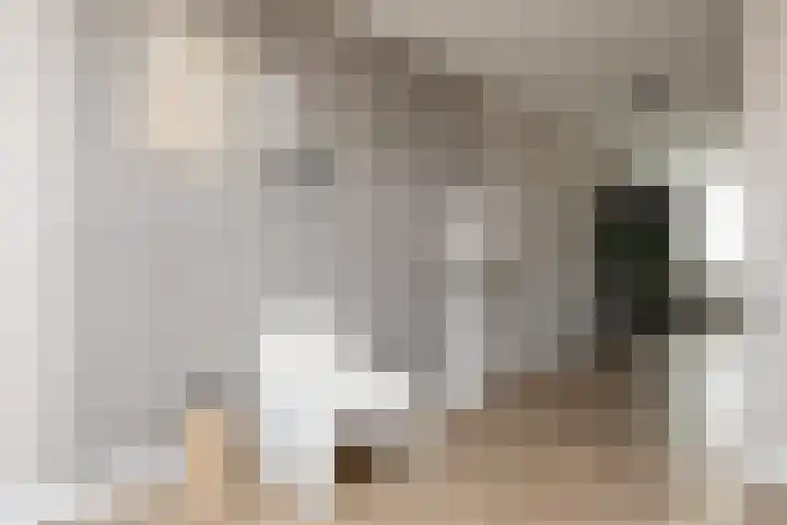 Zuiderrak 59 Sneek thumbnail 17