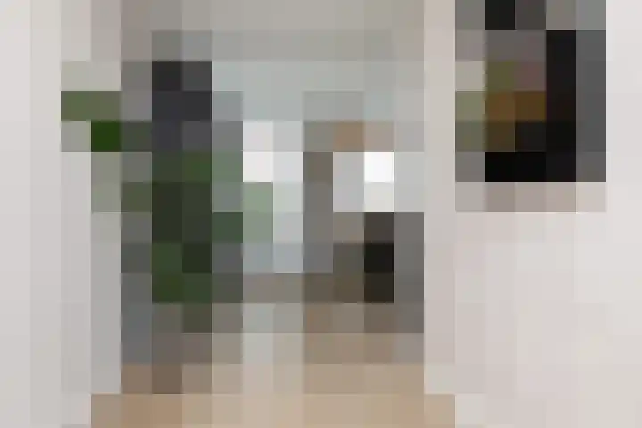 Zuiderrak 59 Sneek thumbnail 18