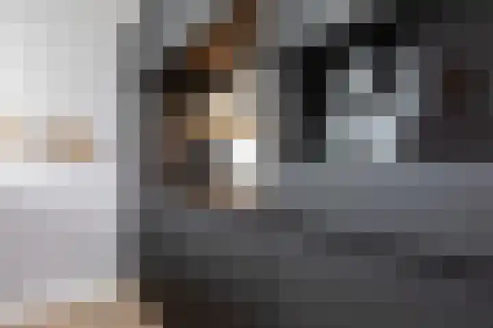 Zuiderrak 59 Sneek thumbnail 22