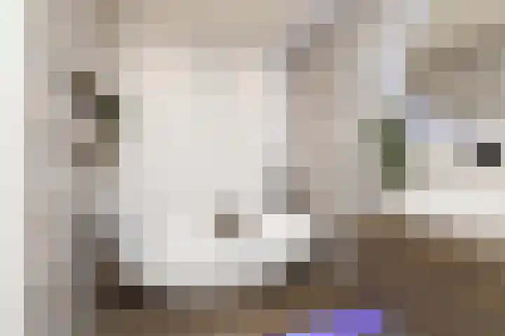 Zuiderrak 59 Sneek thumbnail 36