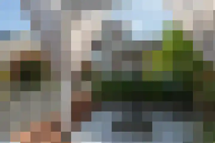 Zuiderrak 59 Sneek thumbnail 53