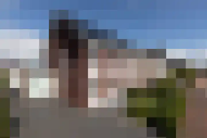 Zuiderrak 59 Sneek thumbnail 6