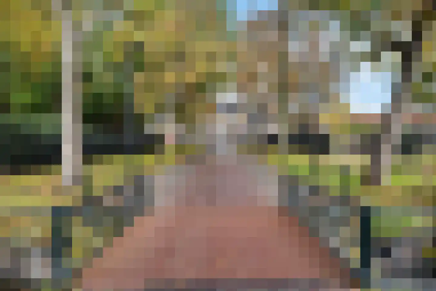Zuidersingel 15 Assen thumbnail 48