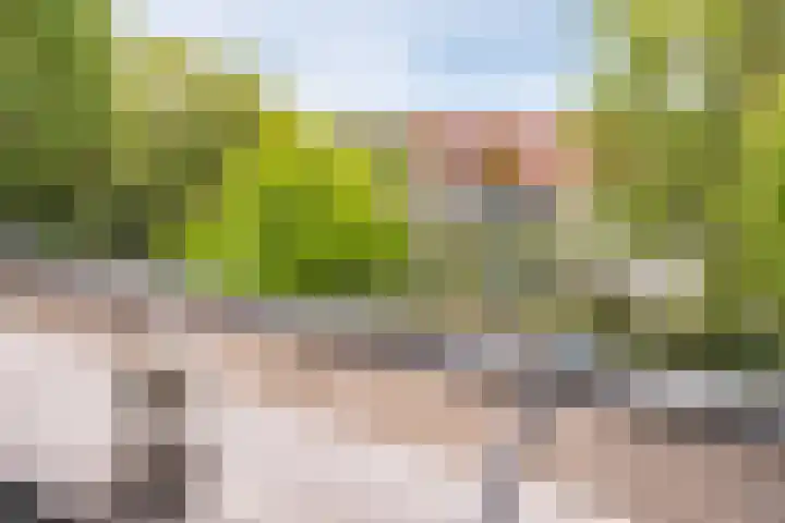 Zuidersingel 68 Barendrecht thumbnail 18