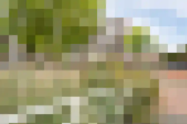 Zuidersingel 68 Barendrecht thumbnail 6