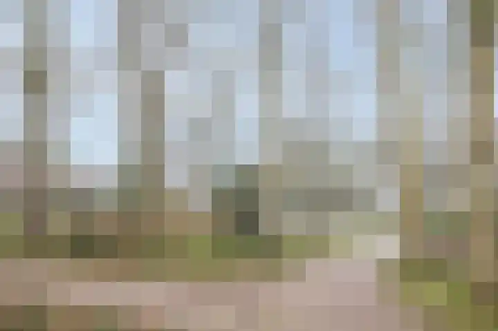 Zuidersingel 71 Assen thumbnail 45