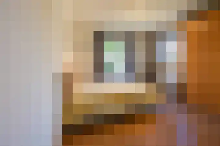 Zuiderspruit 2 Nes thumbnail 16