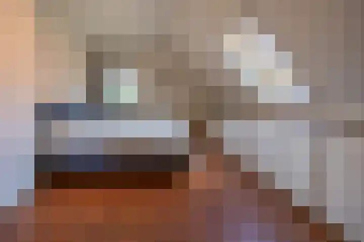 Zuiderspruit 2 Nes thumbnail 27