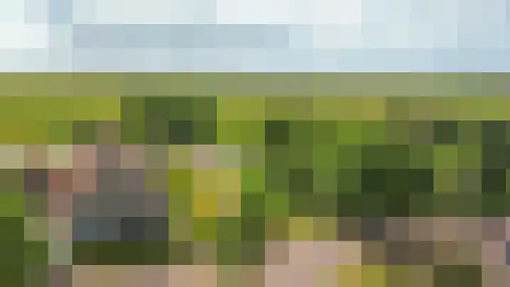 Zuiderspruit 2 Nes thumbnail 42