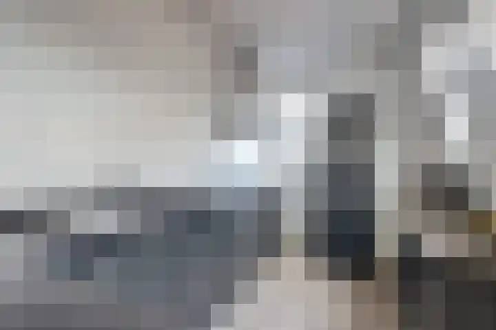 Zuidersteeg 2 C Purmerend thumbnail 17