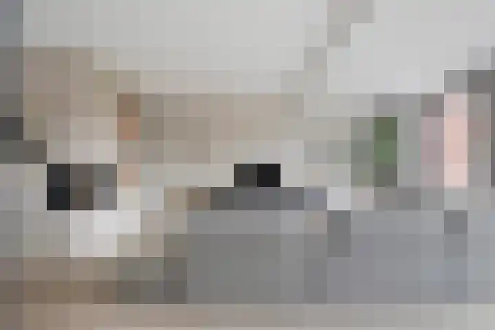 Zuiderstraat 47 Helmond thumbnail 8