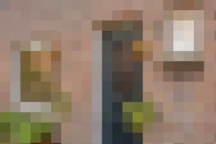 Zuiderstraat 7 Pijnacker thumbnail 10