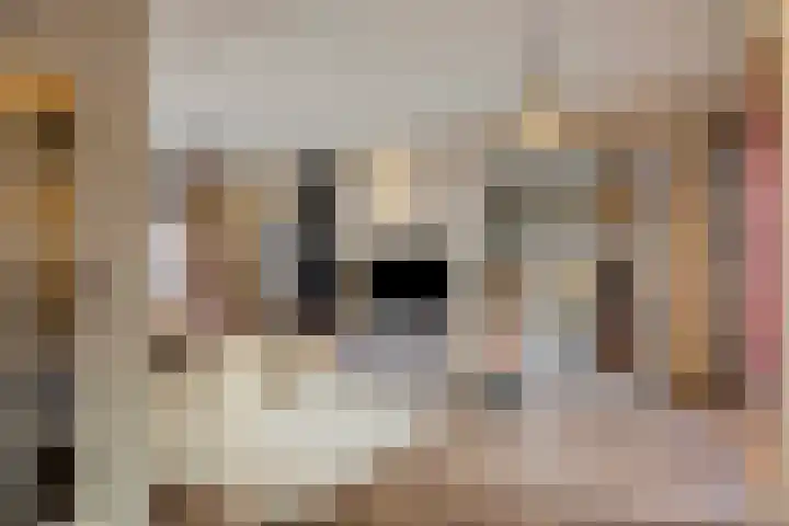 Zuiderstraat 7 Pijnacker thumbnail 14