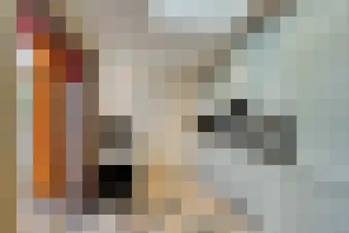 Zuiderstraat 7 Pijnacker thumbnail 19