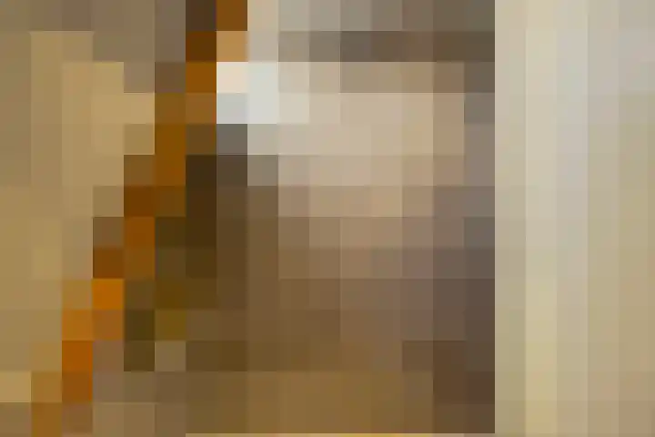 Zuiderstraat 7 Pijnacker thumbnail 27