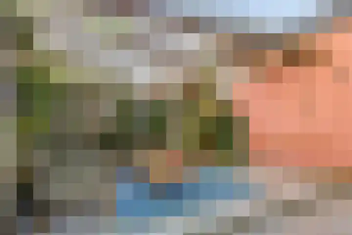 Zuiderstraat 7 Pijnacker thumbnail 36