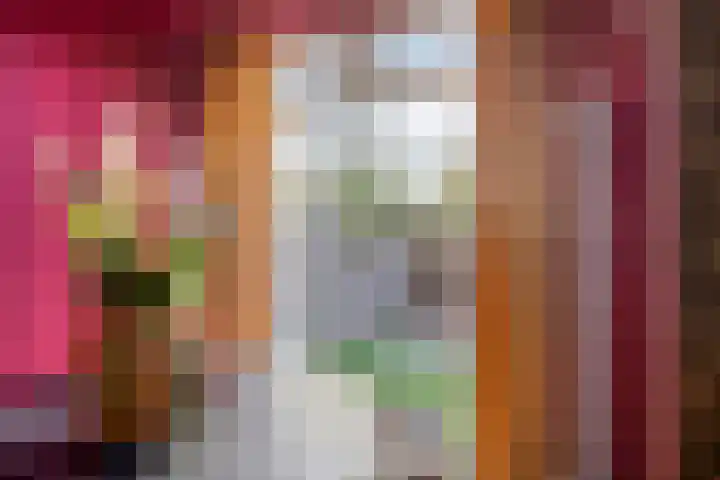 Zuiderstraat 7 Pijnacker thumbnail 4