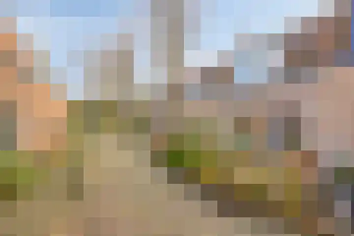 Zuiderstraat 7 Pijnacker thumbnail 8
