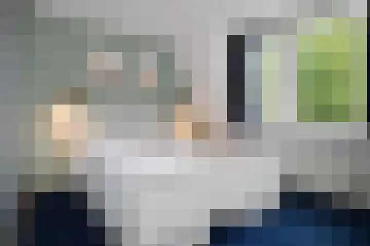 Zuiderstraat 8 Pijnacker thumbnail 14