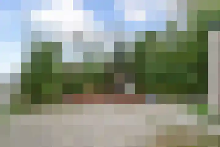 Zuiderstraat 8 Pijnacker thumbnail 18