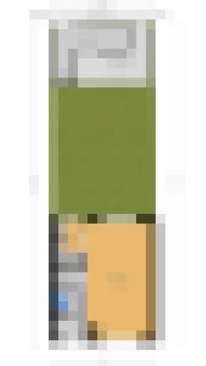 Zuiderstraat 8 Pijnacker thumbnail 23