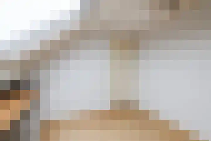 Zuiderstraat 8 Pijnacker thumbnail 4