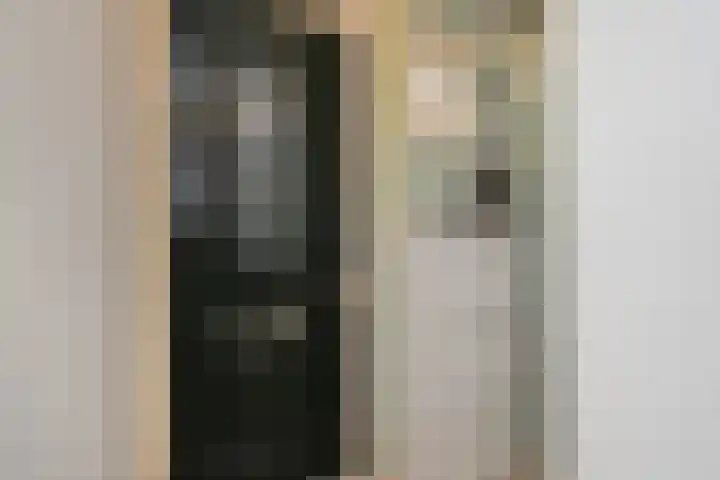 Zuiderstraat 8 Pijnacker thumbnail 6