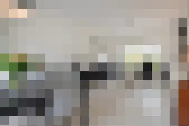 Zuiderstraat 8 Pijnacker thumbnail 7